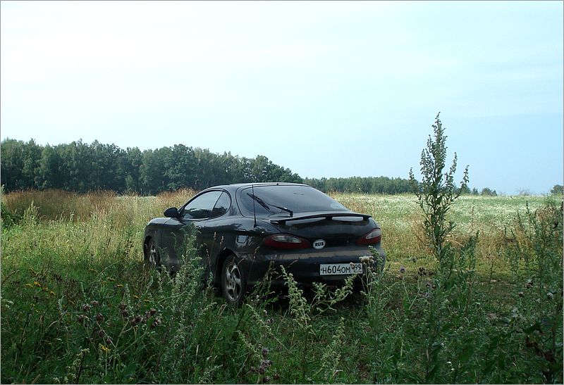 Тиб на родных дисках в Hakke, лето 2011