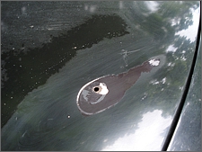 Установка спойлера Shark Wing на Hyundai Tiburon/Coupe 96-99 гг.